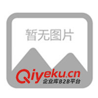 中修廣東地區(qū)柴油發(fā)電機(jī)，中修廣東地區(qū)柴油發(fā)電機(jī)組(圖)